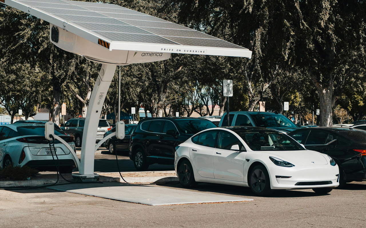 Tesla Specialist Services