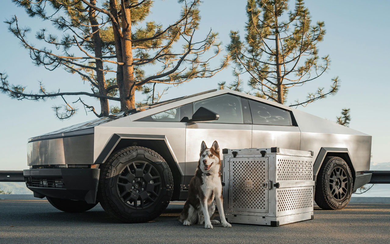 Tesla Specialist Services